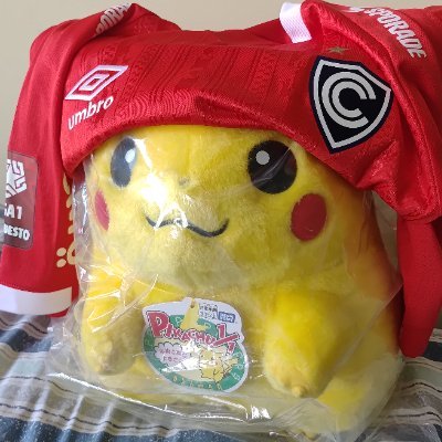 Fat Pikachu with football jersey's profile picture