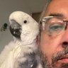 That Guy Who Says What You Can't Say's profile picture