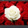 نور العين's profile picture