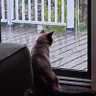 Edie profil fotoğrafı