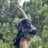 Mirco profil fotoğrafı