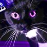 Profilbild von โ
Dingusโ