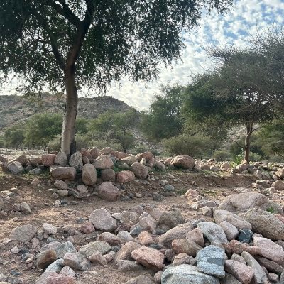 فيصل الهذلي |مقاوم لعدة أمراض نفسية| كاتب سيناريو's profile picture