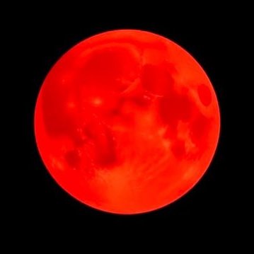 lunarwhirl's profile picture