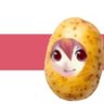 Belarusian tricatage⬜🟥⬜'s profile picture