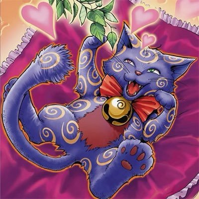 TheKuribandits's profile picture