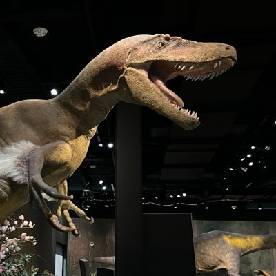 Ausarchosaur's profile picture