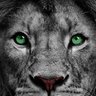 donvitocorleone's profile picture
