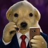 fenasikrm_aaaa profil fotoğrafı