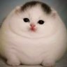 1 profil fotoğrafı