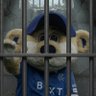 Broxi's Porridge's profile picture