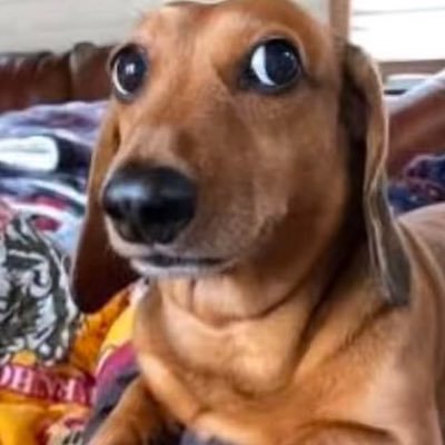 .'s profile picture
