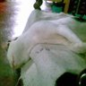 Profilbild von Mas Ferdinand