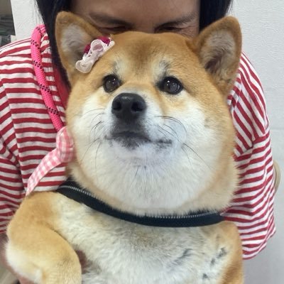 Takasan43228157's profile picture