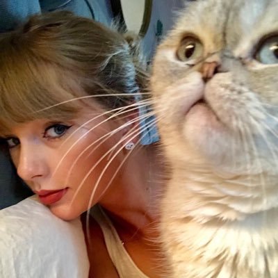 dearsswiftie's profile picture