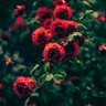 Фото профиля lieth aziz