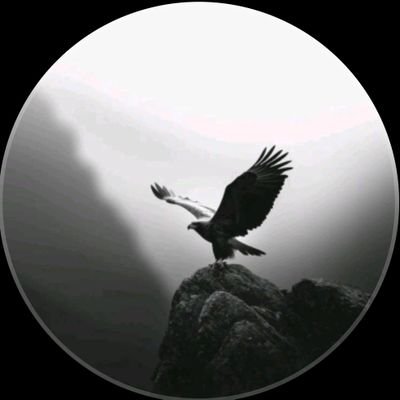 curioarchive's profile picture