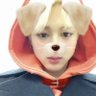 pie ꕤ ! 95 ‘'s profile picture