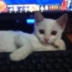 ehjovan's profile picture