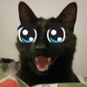 knny 的头像