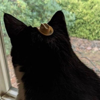 牧鸢's profile picture