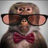 Profilbild von ivo3000