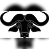 Black Buffalo Lover profil fotoğrafı