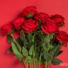 R..I..P 🕊️🕊️🕊️ profil fotoğrafı
