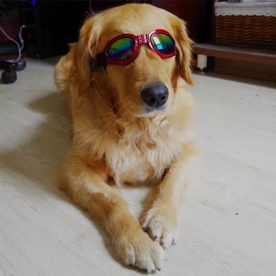 JohnnyKk69's profile picture