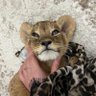 هناي 的头像
