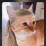 Profilbild von sarcastic