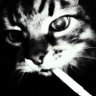 Degognzl's profile picture
