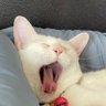 Фото профиля ขอบคุณที่แจ้งให้ทราบถึงแม้ว่าผมจะไม่ได้ถาม
