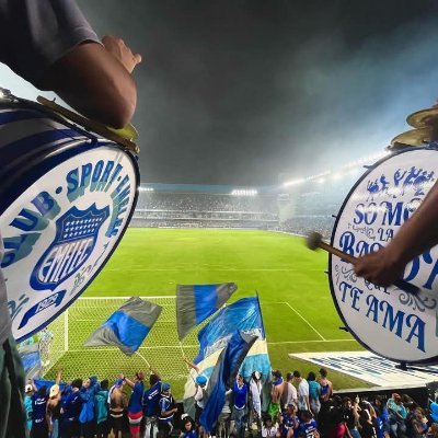Del Emelec toda la vida ⚽💡's profile picture