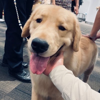 Ching ☻'s profile picture