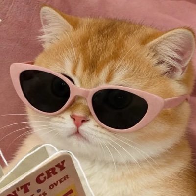 Itim_sherbet's profile picture