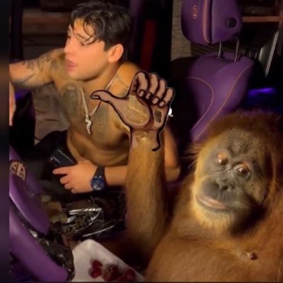 Matevazquezz2's profile picture