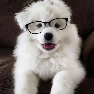 dversewitht's profile picture