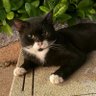 Felicia's profile picture
