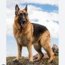 KUTTA JANTA PARTY profil fotoğrafı