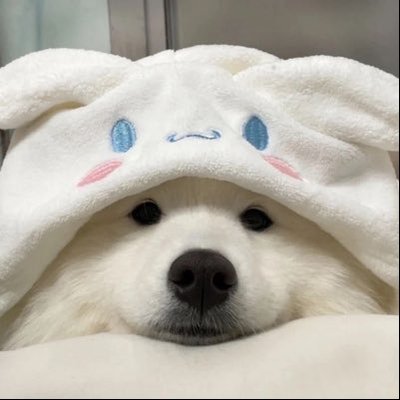 _vwxtcn_'s profile picture