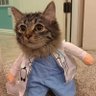 Dr jojo's profile picture