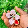 𓆩𓋹𓆪's profile picture