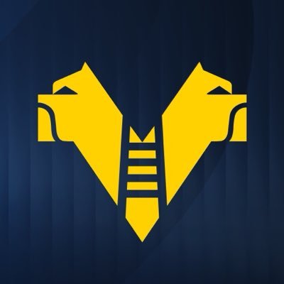 Hellas Verona FC's profile picture