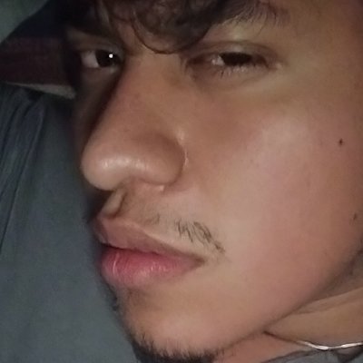 randomonimusxd's profile picture