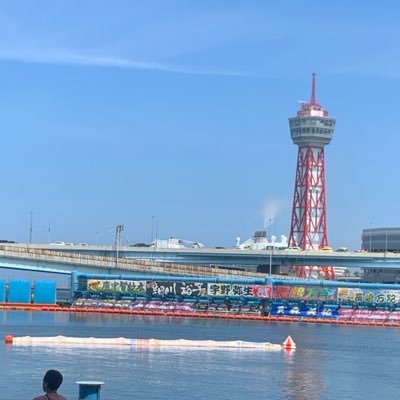 kyotei__daisuki's profile picture
