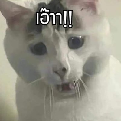 kk33140's profile picture
