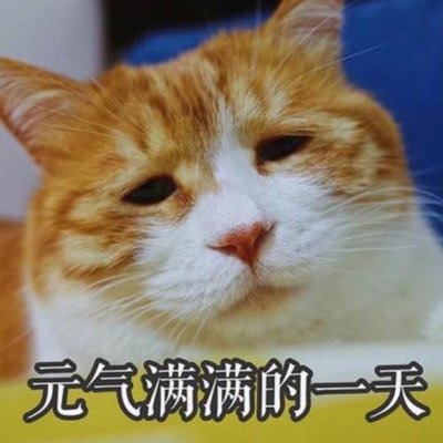 thassanee_135's profile picture