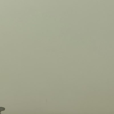 gujjaarr's profile picture
