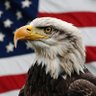MAGA Fan Account🇺🇲 profil fotoğrafı